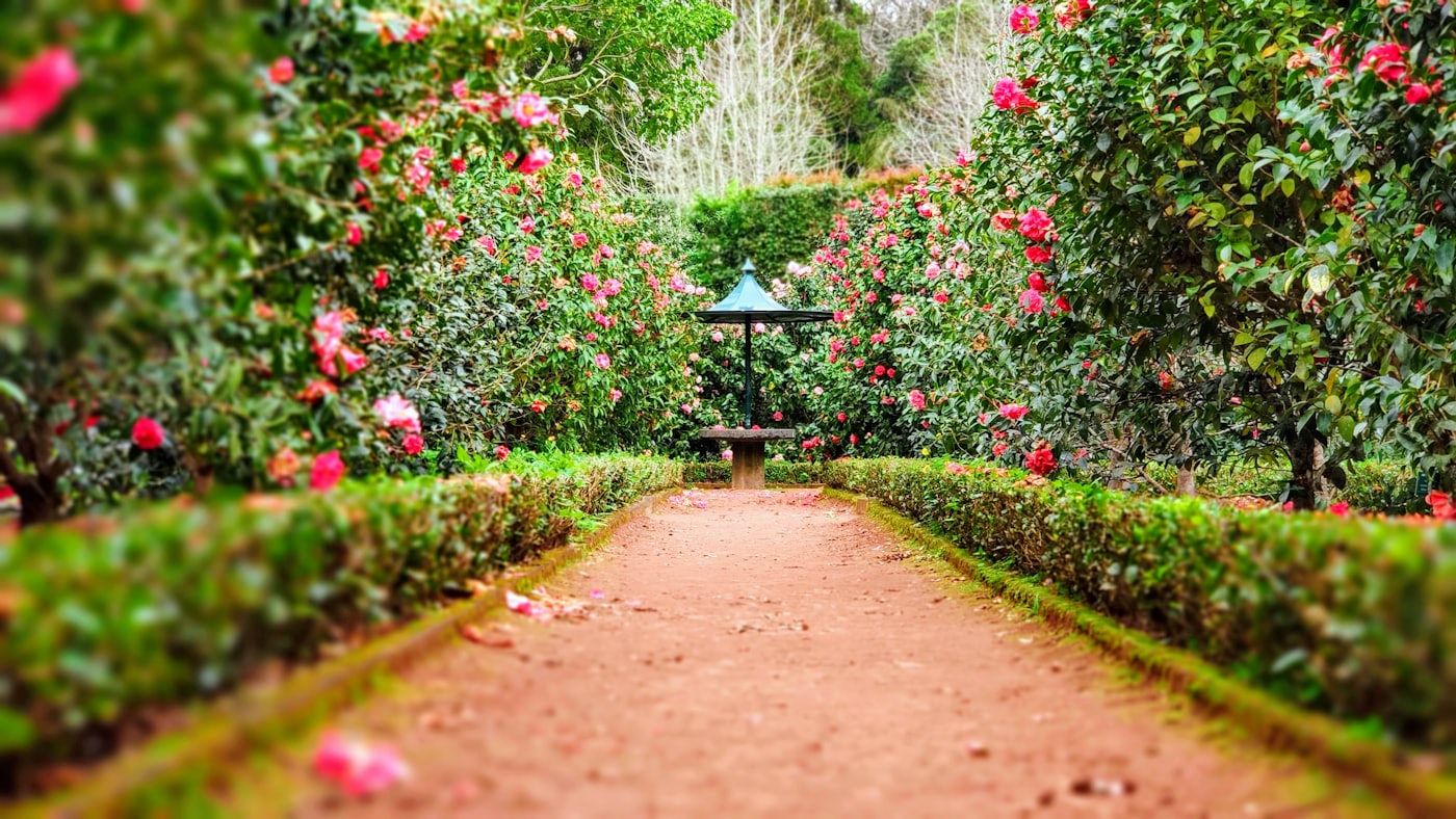 ボードに留められた季節の植栽カレンダー